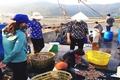 Nghề nướng cá nơi xã biển Ngư Lộc tất bật vào vụ tết
