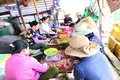 Những người “giữ nhịp” nơi cửa cảng