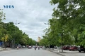 Ươm “chồi xanh” nơi rốn lũ