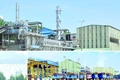 Song hành sản xuất với trách nhiệm xã hội