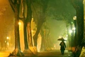 Vùng trời bình yên...