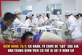 Vụ gần 600 loại sữa giả: Người tiêu dùng hãy lên tiếng để bảo vệ mình