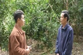 Cây cà phê giữa đồi luồng Thiên Phủ