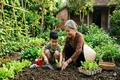 Bà nội siêu đỉnh của tôi (Chapter cuối): Những người muôn năm cũ