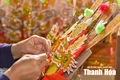 Chuyện nghề... vọng giữa phố đông (Bài 3): Nghề xưa tìm hướng đi mới