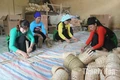 Khi “lửa nghề” vẫn “cháy”