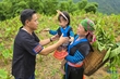 Nhân Ngày gia đình Việt Nam 28/6: Nơi tình yêu bắt đầu và mãi mãi (Bài cuối): Những khoảnh khắc hạnh phúc bình dị