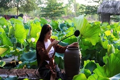 Cánh sen ngày hạ