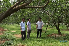 Khởi nghiệp cùng nông nghiệp an toàn