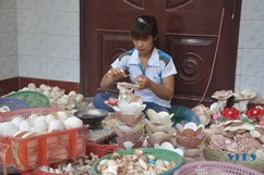 Phát triển làng nghề truyền thống ven biển gắn với phát triển du lịch
