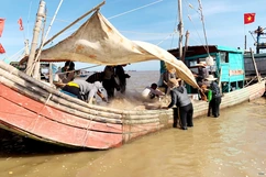 Nhộn nhịp chợ biển Ngư Lộc