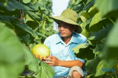 Chàng kỹ sư cơ khí thành công với mô hình trang trại kết hợp ở Nga Sơn
