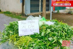 Phát miễn phí trên 200 kg rau xanh cho người dân thị trấn Nông Cống