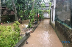 Hàng chục hộ dân thôn Dinh Xá nơm nớp nỗi lo ngập lụt
