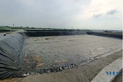 Hoằng Hóa: Hướng đi mới trong phát triển HTX nuôi trồng thủy sản