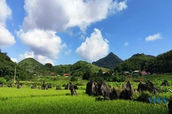 Bình yên Cao Sơn