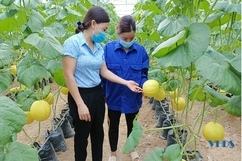 Sản xuất nông nghiệp theo hướng công nghệ cao tại huyện Thọ Xuân