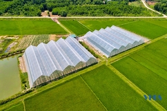 Xanh mướt nông trại 2T Farm