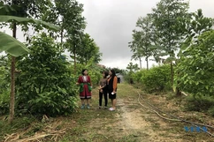 Cô gái trẻ với mô hình “Vườn rừng bản Thổ”