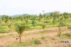 Đánh thức vùng đồi