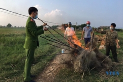 Kiểm soát, ngăn chặn hành vi bẫy bắt, vận chuyển, buôn bán trái phép chim hoang dã