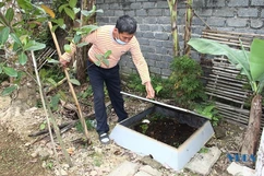 Mô hình áp dụng tiến bộ khoa học để xử lý rác tại hộ gia đình