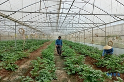 Tăng cường đảm bảo an toàn vệ sinh thực phẩm dịp cuối năm