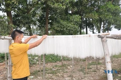 Làng nghề truyền thống ở Thọ Xuân tất bật vào tết
