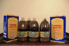 Nức tiếng tương Xuân Phả