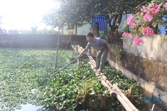 Thành công từ mô hình nuôi ốc nhồi