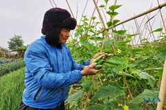 Cụ ông trên 80 tuổi say mê phát triển kinh tế