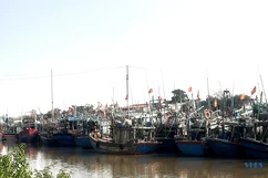 Tàu nằm bờ, thủy hải sản tăng giá