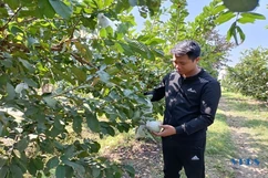 Bỏ phố về quê phát triển nông nghiệp
