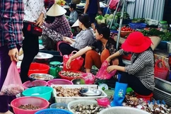 Tưởng được mà mất