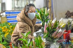 Chợ hoa lớn nhất Thanh Hóa vắng khách dịp 8-3
