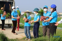 Hội LHPN huyện Hoằng Hóa thực hiện công trình “Trồng cây xanh” tại 2 xã Hoằng Đạo và Hoằng Hà