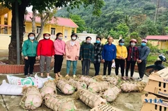 Tặng con giống cho hội viên phụ nữ xã Thanh Lâm và Thượng Ninh