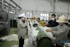 Bên trong Nhà máy sản xuất sợi dệt An Phước