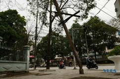Những cột điện ngả nghiêng giữa phố