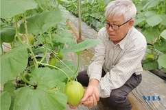 Lão nông làm giàu từ trang trại
