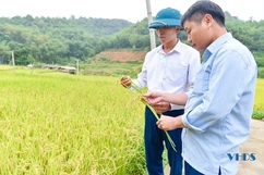 Hướng đi mới ở Mường Mìn
