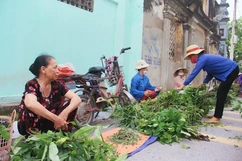 Chợ tết Đoan Ngọ quê tôi