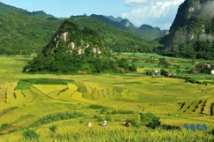 Ban Công: Điểm kết nối của khu du lịch Pù Luông