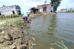 Để giảm thiệt hại cho người nuôi trồng thủy sản mùa mưa bão