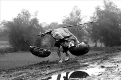 Trắng tay…