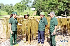 Những cựu thanh niên xung phong làm kinh tế giỏi