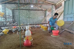 Thanh niên làm giàu nhờ mô hình trang trại tổng hợp