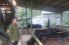 Phụ nữ Quan Hóa giúp nhau phát triển kinh tế, xóa đói giảm nghèo