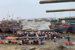 Sôi động tàu, thuyền cập cảng Ngư Lộc