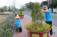 Đường hoa đẹp làng, tươi phố của phụ nữ phường Đông Hải